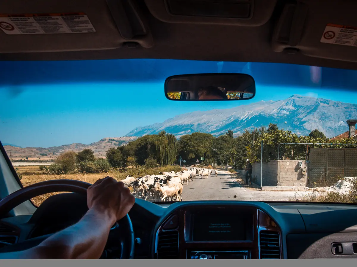 Driving in Albania: The Unfiltered Reality (Read First)