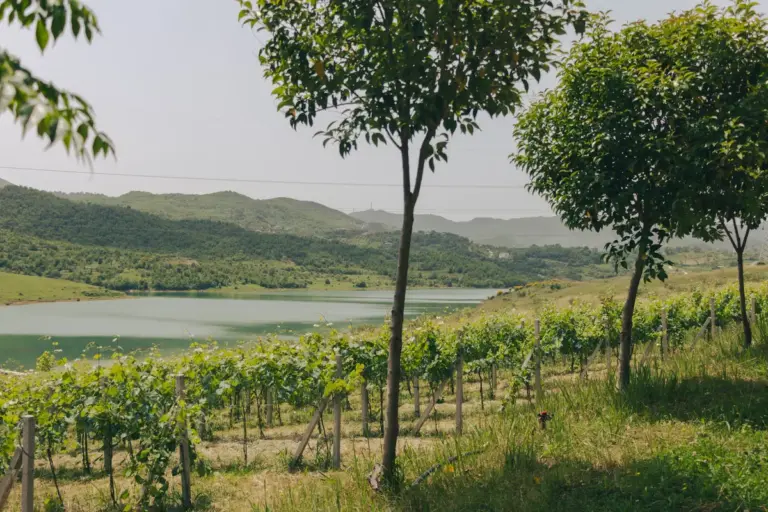 Agrotourism in Albania: Best Farms and Real Costs in USD