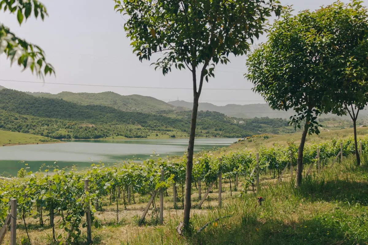 agrotourism in albania best farms and real costs in usd 6