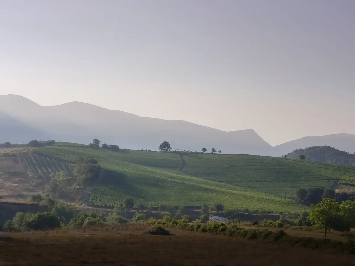 Agrotourism in Albania: Best Farms and Real Costs in USD 3 agrotourism in albania best farms and real costs in usd